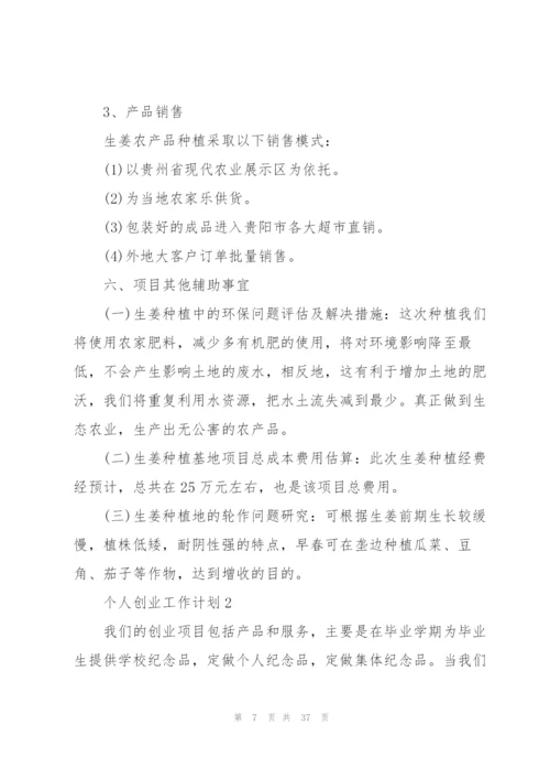 个人创业工作计划5篇.docx