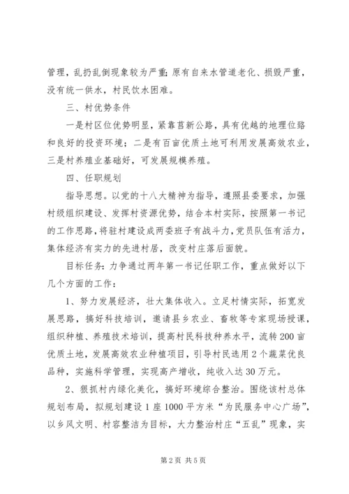 村第一书记任职规划计划 (4).docx