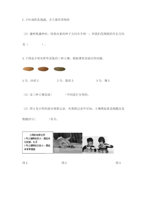 教科版四年级下册科学第三单元岩石与土壤测试卷附参考答案（精练）.docx