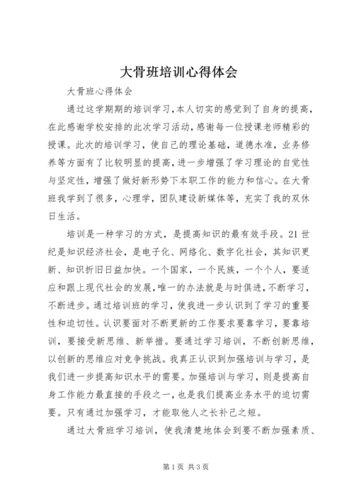 大骨班培训心得体会 (4).docx