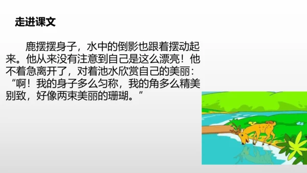2美丽的鹿角  课件