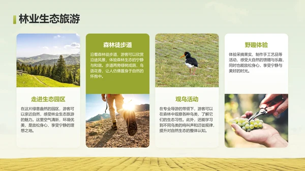 绿色摄影风走进绿水青山的家乡PPT模板