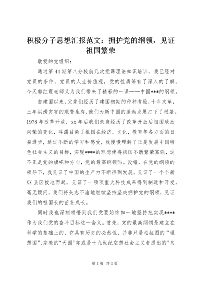 积极分子思想汇报范文：拥护党的纲领，见证祖国繁荣.docx