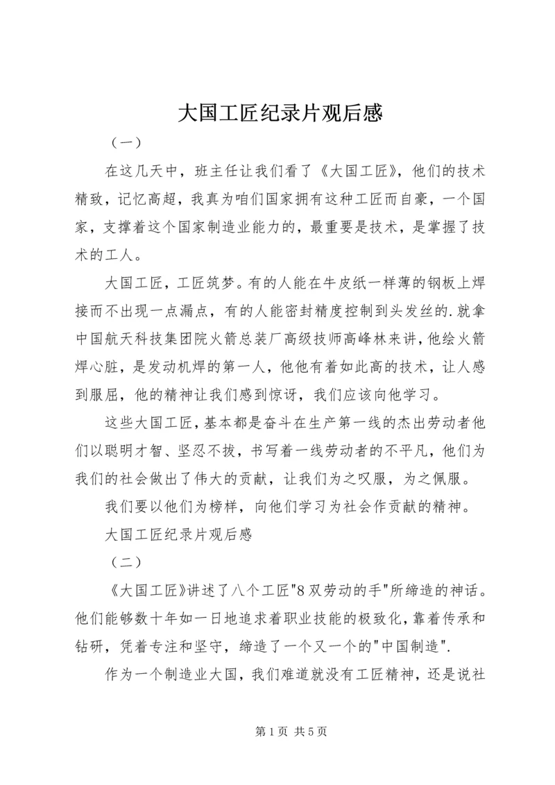 大国工匠纪录片观后感.docx