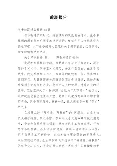 辞职报告_232.docx