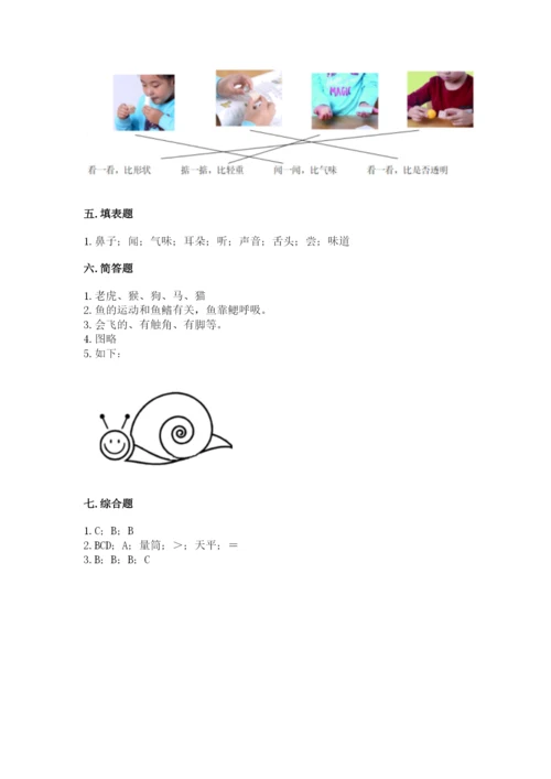 教科版小学科学一年级下册期末测试卷加答案.docx