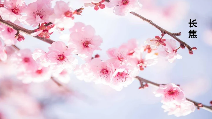 欧美风HELLO快闪通用PPT模板