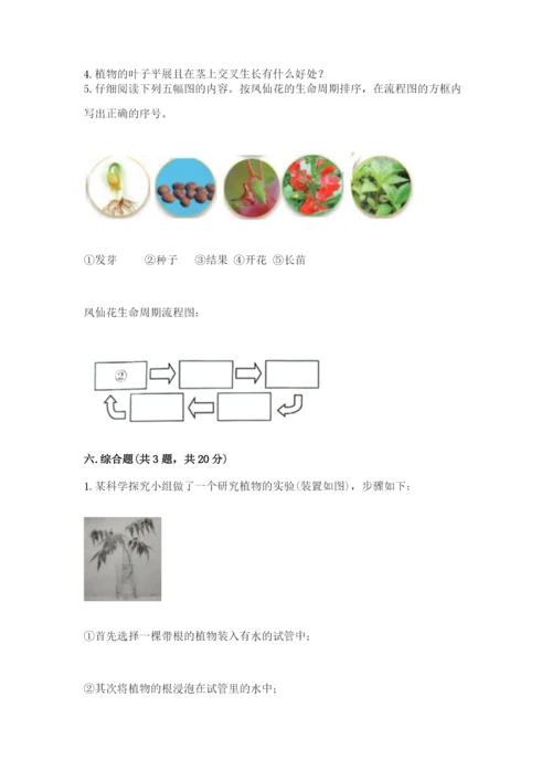 科学四年级下册第一单元植物的生长变化测试卷【预热题】.docx