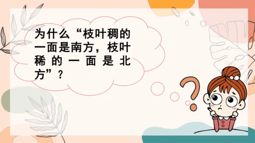 17 《要是你在野外迷了路》（第二课时） 课件