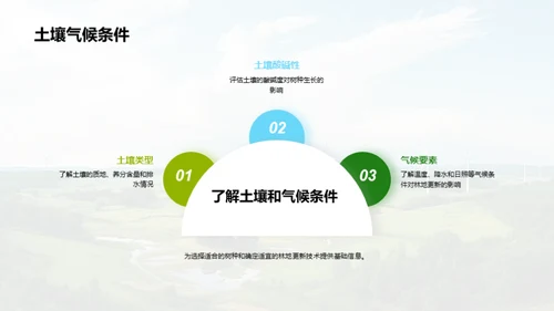 林地更新技术探索