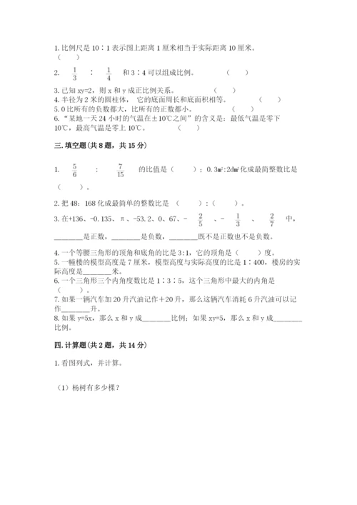 温州市永嘉县六年级下册数学期末测试卷含答案.docx