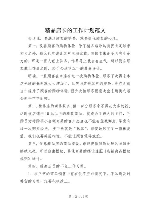 精品店长的工作计划范文.docx