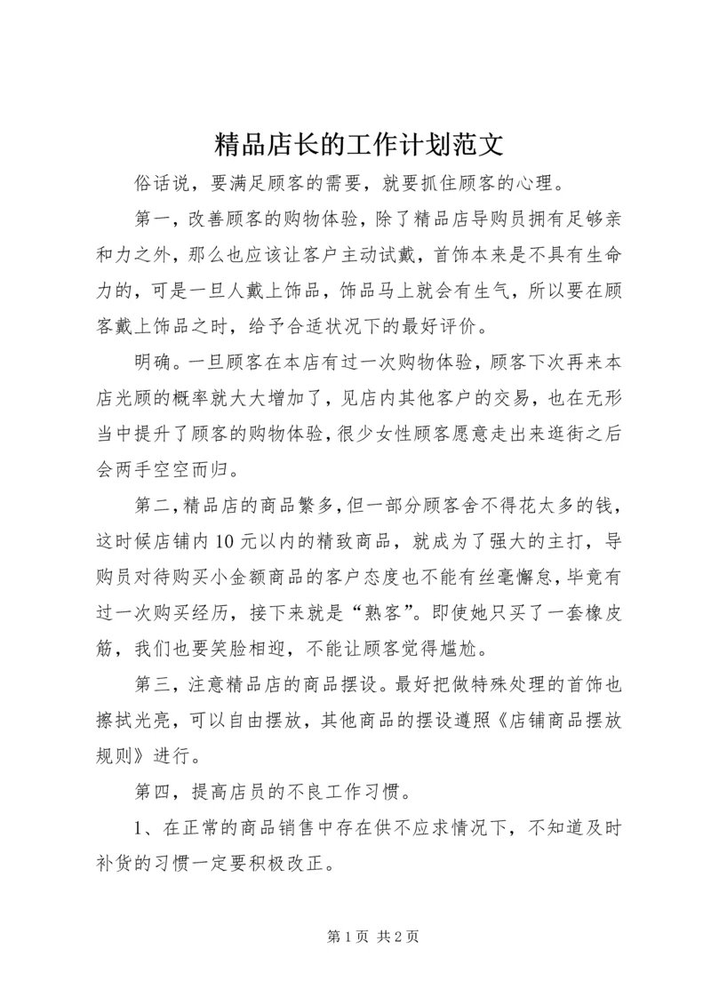 精品店长的工作计划范文.docx