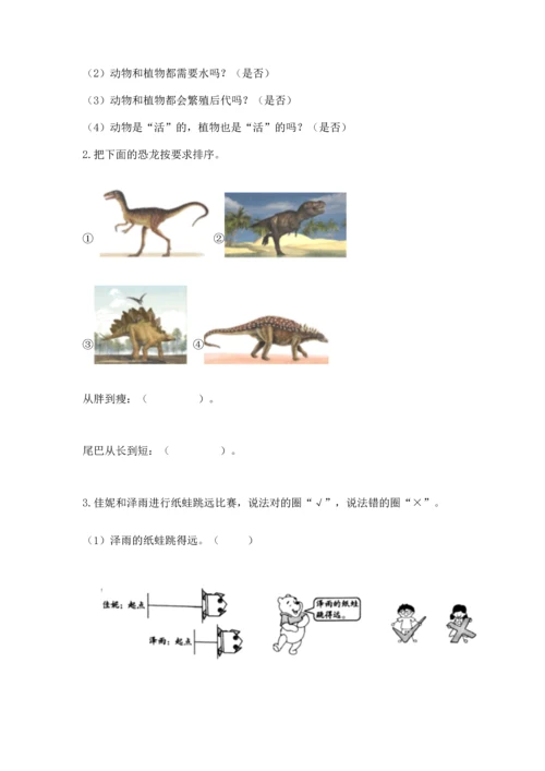 教科版小学一年级上册科学期末测试卷a4版可打印.docx