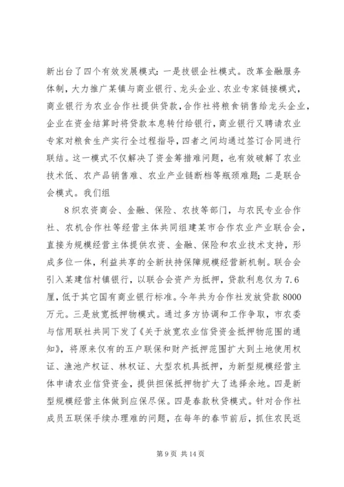 土地规模经营汇报 (3).docx