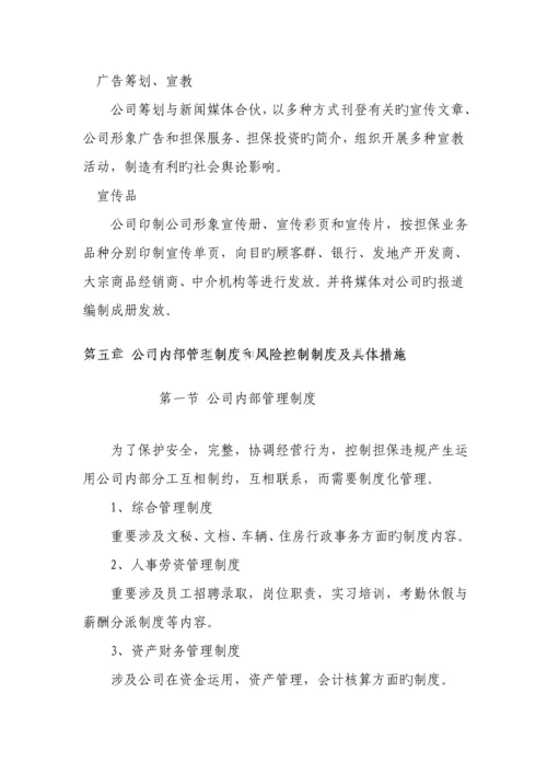 担保公司可行性专题研究报告详细(2).docx