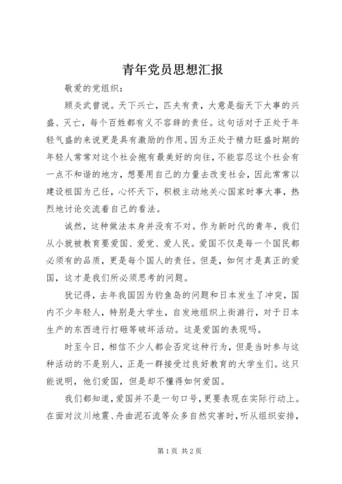 青年党员思想汇报 (4).docx