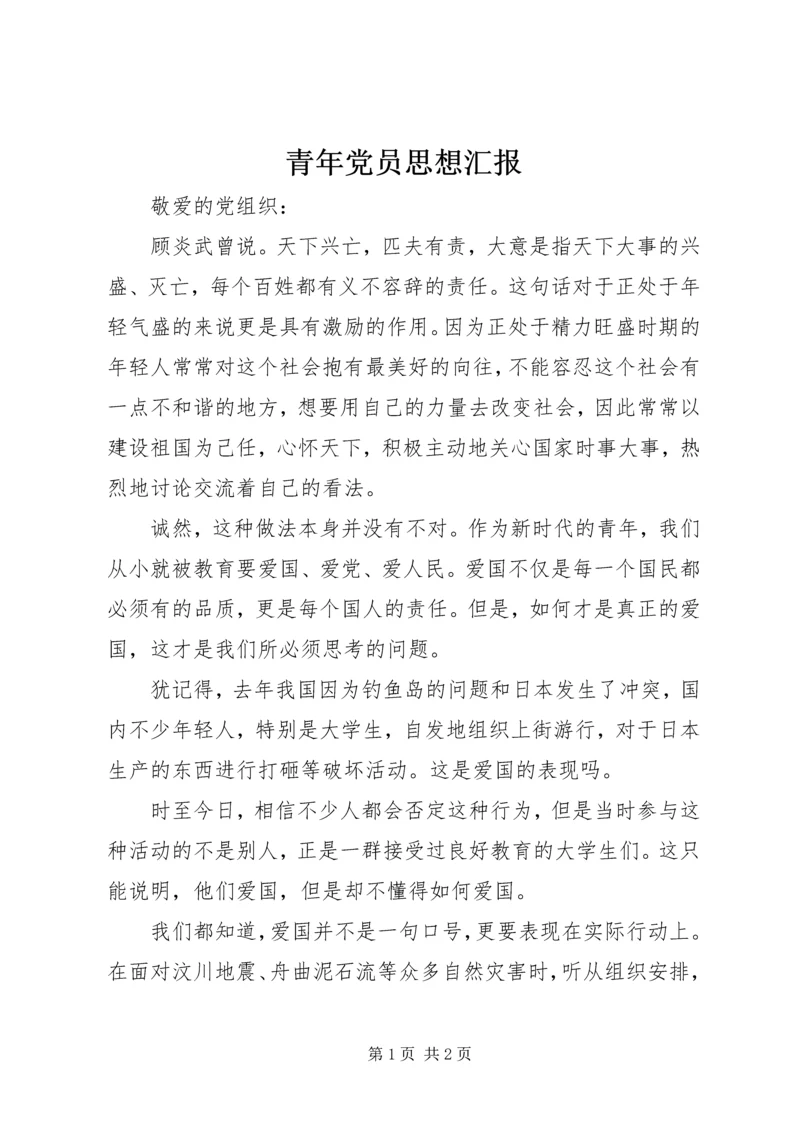 青年党员思想汇报 (4).docx