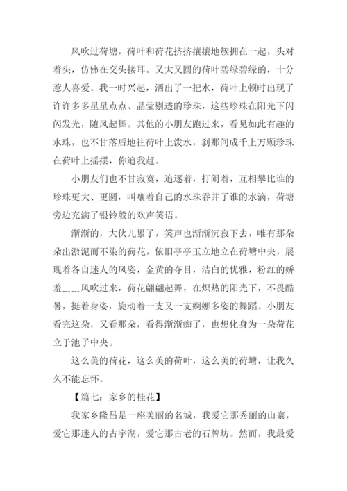 关于景色的作文400字.docx