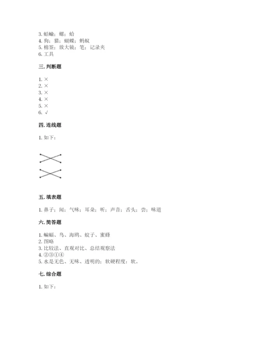 教科版小学科学一年级下册期末测试卷【全国通用】.docx