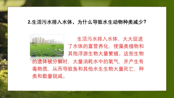 人教版生物八年级上册6.3《保护生物的多样性》课件(共27张PPT)