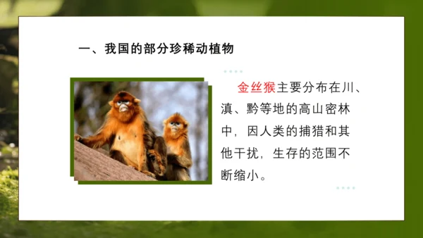 人教版生物八年级上册6.3《保护生物的多样性》课件(共27张PPT)