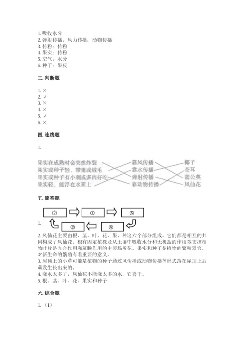 科学四年级下册第一单元植物的生长变化测试卷及完整答案（名师系列）.docx