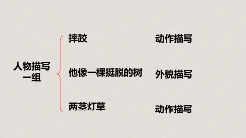 第13课《人物描写一组两茎灯草》（教学课件）