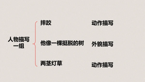 第13课《人物描写一组两茎灯草》（教学课件）