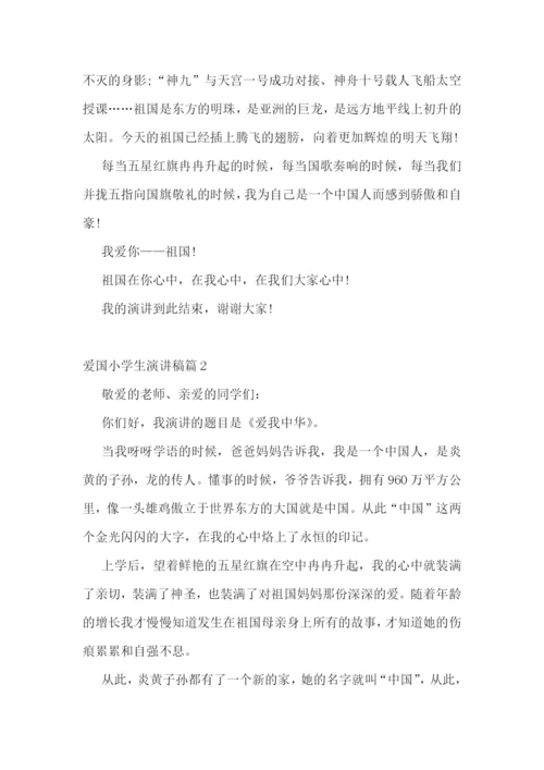 爱国小学生演讲稿5篇.docx