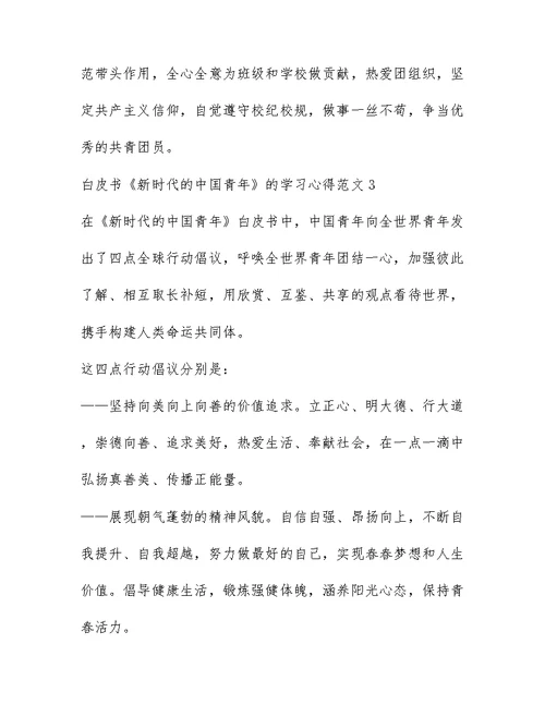 白皮书新时代的中国青年的学习心得范文（精选五篇）