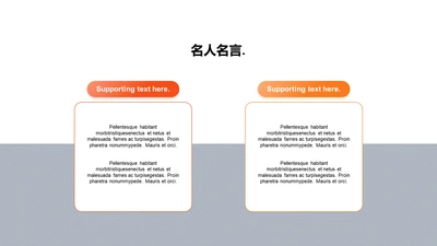 名人名言-简约商务2项图示
