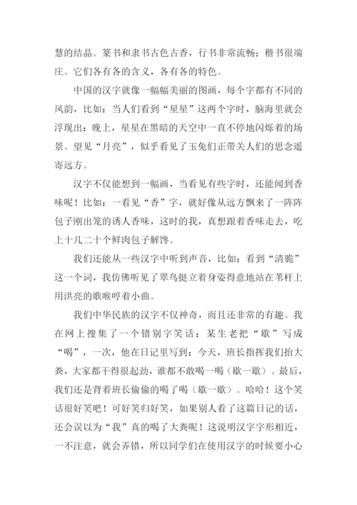 汉字的魅力作文.docx