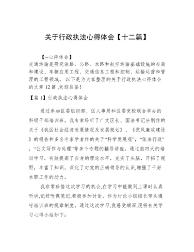 关于行政执法心得体会【十二篇】.docx