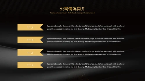 黑金奢华高端房地产商业计划书通用PPT模板