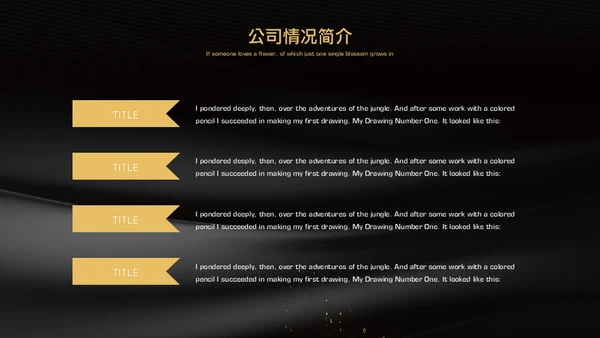 黑金奢华高端房地产商业计划书通用PPT模板