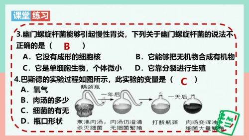 5.4.2  细菌  课件-人教版生物八年级上册(共39张PPT)