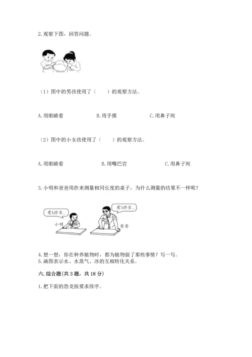 教科版一年级上册科学期末测试卷a4版打印.docx