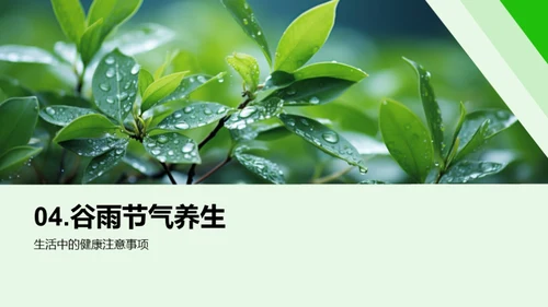 谷雨季节的健康指南