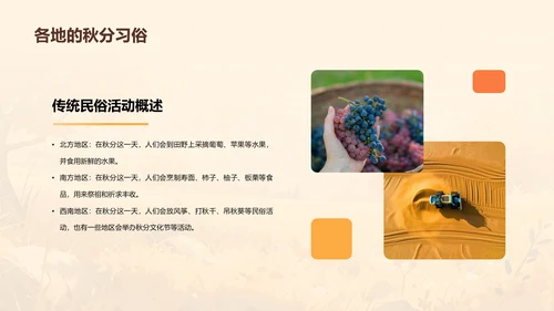 黄色插画秋分传统民俗活动介绍PPT模板