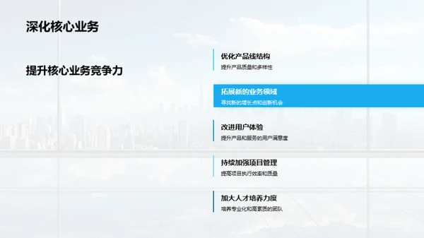 20XX年度绩效与挑战
