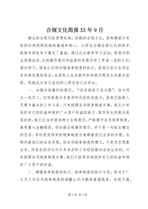 合规文化简报XX年9月 (3).docx