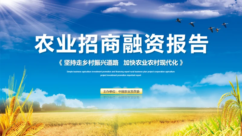 农业项目招商融资报告通用PPT模板