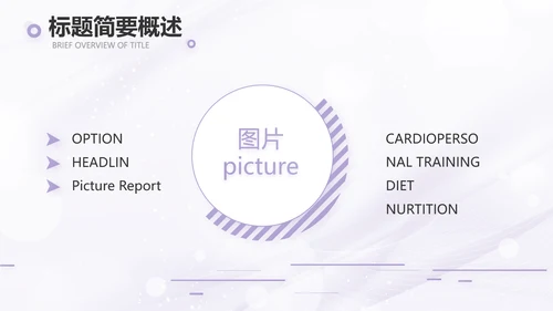 紫色梦幻医美商业计划书动态PPT
