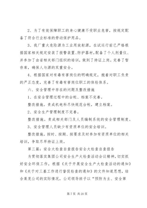 安全大检查自查报告 (7).docx