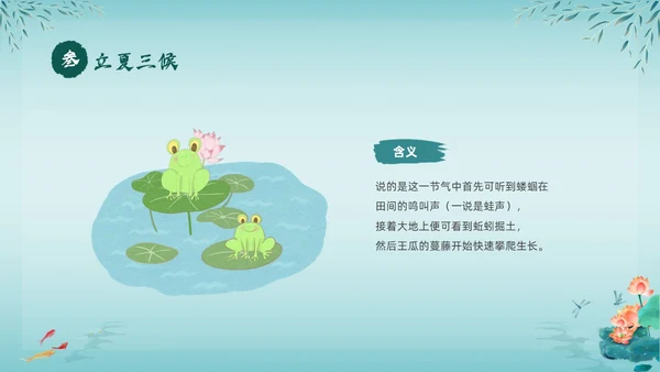 绿色中国风荷花中国传统节日立夏节气介绍主题班会PPT
