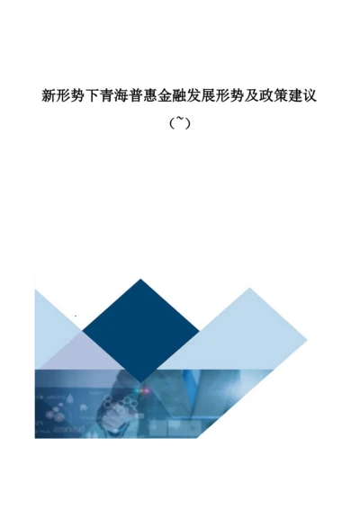 新形势下青海普惠金融发展形势及政策建议.docx