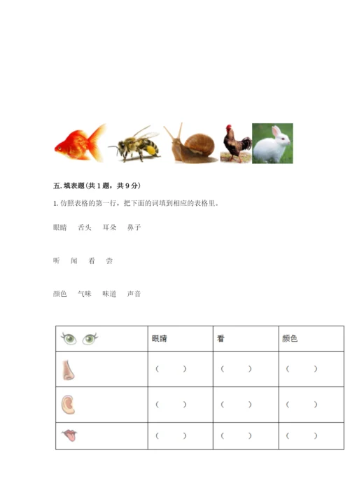教科版小学科学一年级下册期末测试卷附答案（达标题）.docx