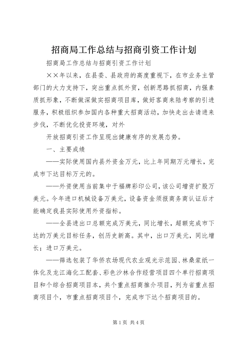 招商局工作总结与招商引资工作计划 (11).docx