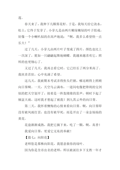 描写向日葵的作文.docx